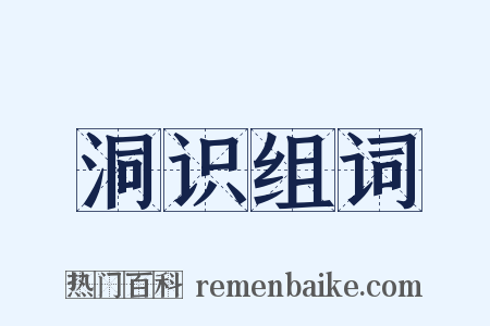 洞识组词是什么意思的图片